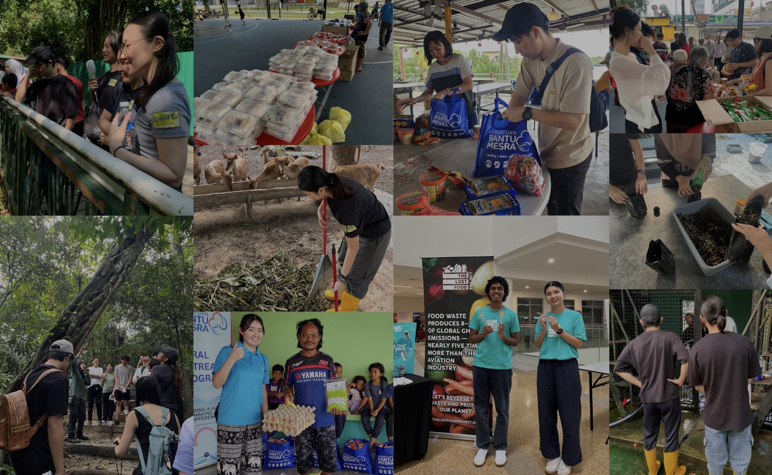 Global Hub Volunteer