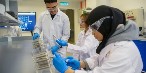 サンウェイ大学の工学・テクノロジー教育